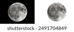 Full moon isolated on black and white background, clipping path
