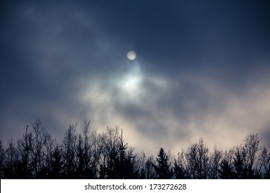 19,510 Twilight woods Images, Stock Photos & Vectors | Shutterstock