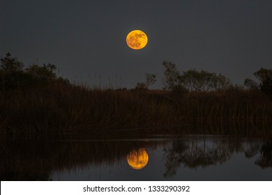 A Full Moon Magically Illuminated The Bayou As I Basked In The Opportunity To Capture Its Beauty!