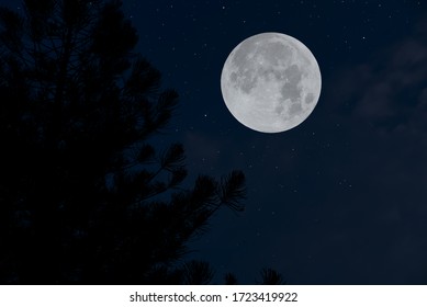 201,487 Full Moon Sky Images, Stock Photos & Vectors | Shutterstock