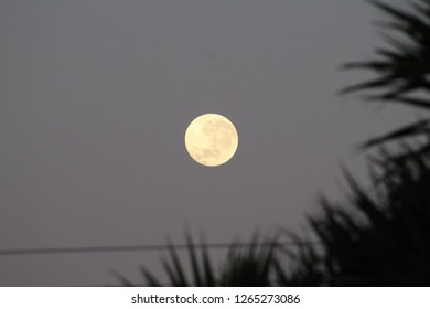 full moon in the morning - Shutterstock ID 1265273086