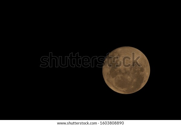 Full Moon at a\
Nature Reserve in South\
Africa