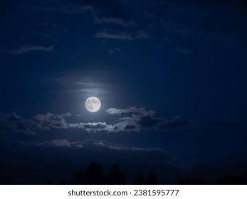 full moon night in the forest blue night sky moonlight background - Powered by Shutterstock