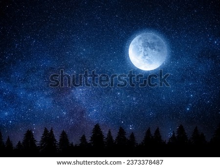 Full moon at night and forest silhouette