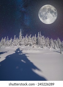 Winter Night Full Moon Starry Sky Stock Photo 1537847486 | Shutterstock