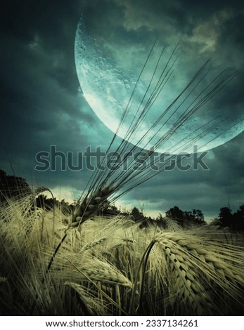 Similar – Image, Stock Photo Marshmallow Field VI