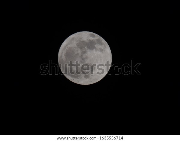 full moon on a fall\
night