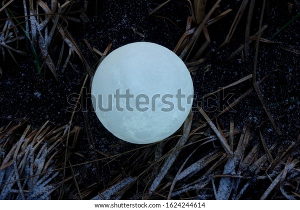 A full\
moon on the ground during the evening. Lunar model, moon-shaped\
lamp with moon craters            \
