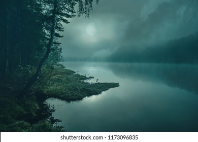 
Full Moon On A Mystical Forest Lake At Night