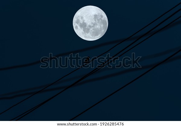 Full moon on sky with bird silhouette on electric\
wire in the night.
