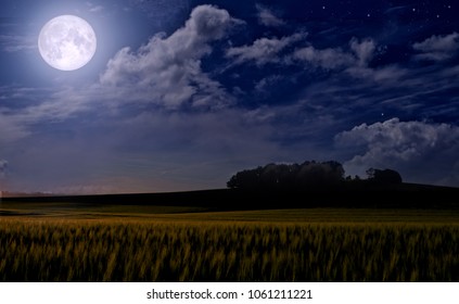 Full moon over the field - Powered by Shutterstock