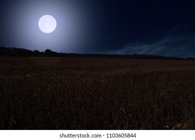 Full Moon Over Field Stock Photo 1103605844 | Shutterstock