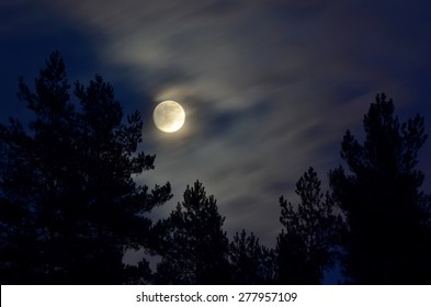 Full Moon Over The Forest, South Bohemia, Czech Republic