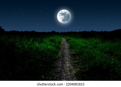 Full Moon Over Grassland With Footpath. Moonlight Night With Stars