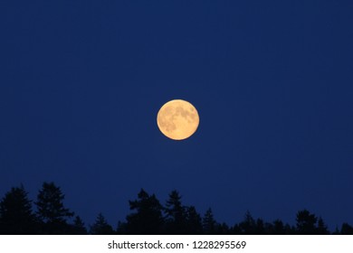 Full Moon Over Mountain Dark Blue Stock Photo (Edit Now) 1228295569