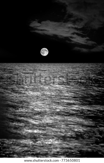 Full moon over the sea, long exposure.\
black-and-white toning