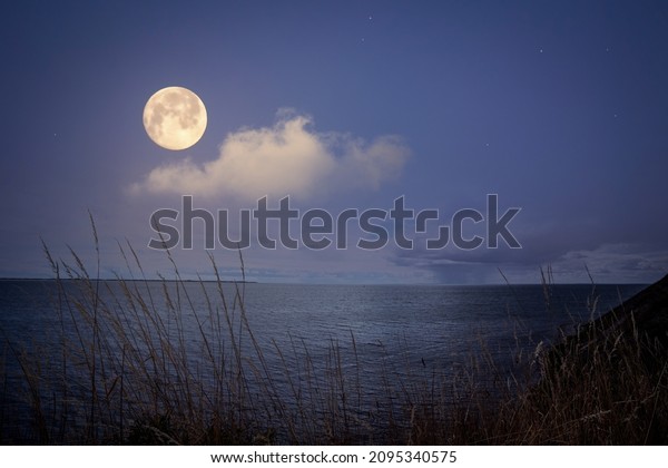 Full moon over the sea with sparkling stars on a\
violet night sky