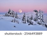 Full moon over snowy mountains landscape in the purple twilight sky. Mount Seymour.  Vancouver. British Columbia. Canada