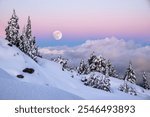 Full moon over snowy mountains landscape in the purple twilight sky. Cypress Mountain.  Vancouver. British Columbia. Canada