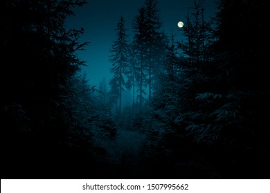 Full Moon Over The Spruce Trees Of Magic Mystery Night Forest. Halloween Backdrop.