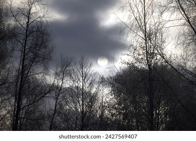 Full moon in overcast sky, surrounded by a dense canopy of trees with intertwining branches. The moon's luminosity contrasts sharply with the dark silhouettes of the trees