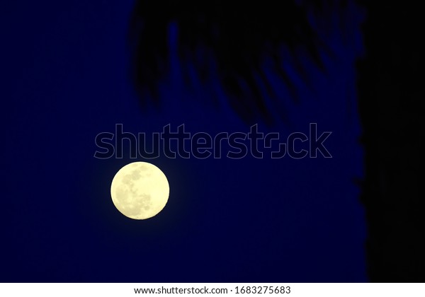 Full\
moon Palm Desert California United States Night\
Sky