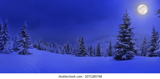 Full Moon rising above the winter fir forest covered of snow in mountains. Landscape winter - Powered by Shutterstock