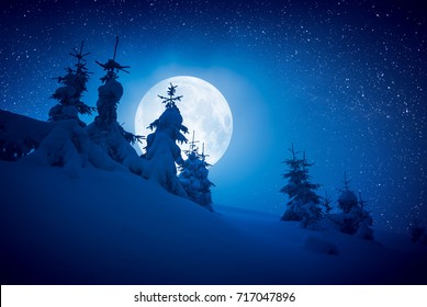 17,058 Full moon winter Images, Stock Photos & Vectors | Shutterstock