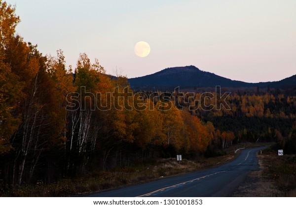 Full moon rising before sunset on Route 180, an\
old logging road, though a line of autumn trees to a colorful\
scenery in the distance