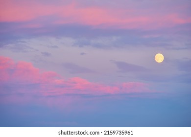 Full moon rising during spring evening with blue and pink sky.