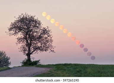 Full moon rising over beautiful countryside landscape - Powered by Shutterstock