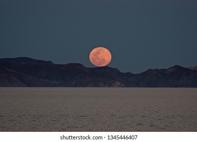 Baja Moon