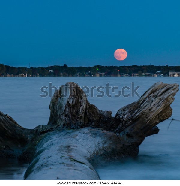 Full Moon Rising over A Lake with Fallen Tree\
in Foreground