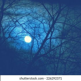 A full moon seen through a network of bare branches in a forest during a cloudy foggy evening.  Filtered for a retro, vintage look. 