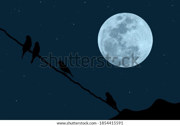 Full moon with silhouette birds on electric wires\
in the night.