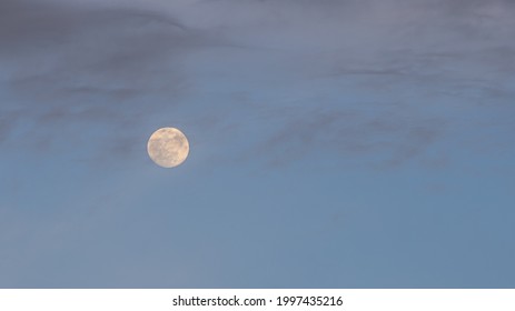 Moon Between Trees High Res Stock Images Shutterstock