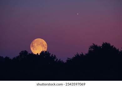 Full Moon, star and landscape scenery silhouettes. - Powered by Shutterstock