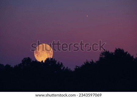 Full Moon, star and landscape scenery silhouettes.