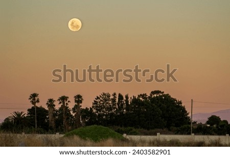 Full moon at sunset over trees and mountains.