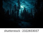 Full moon through the clouds over the spruce trees of magic mysterious night forest. Halloween backdrop.