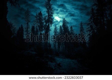 Full moon through the clouds over the spruce trees of magic mysterious night forest. Halloween backdrop.