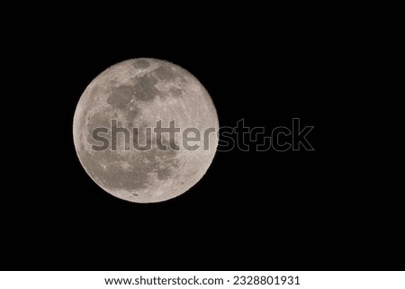 Full Moon whit the visible surface crater in the black dark night background