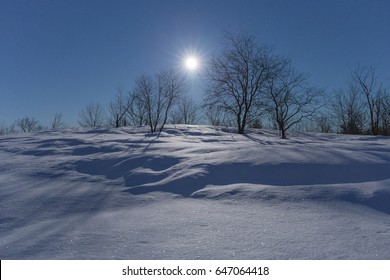 Full Moon Winter Night In Forest