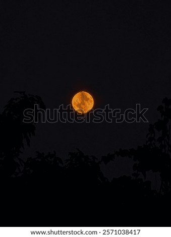 Similar – Image, Stock Photo Friday is full moon