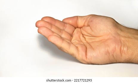 Full Open Human Hand With Joined Fingers