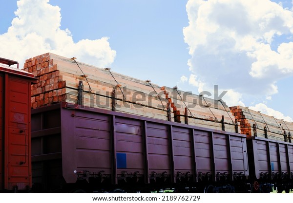 Full rail cars of\
timber against the sky