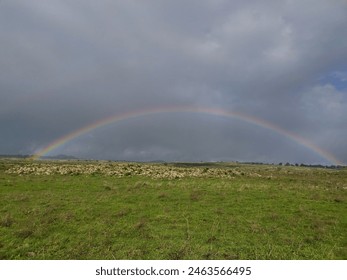Full rainbow in cloudy day