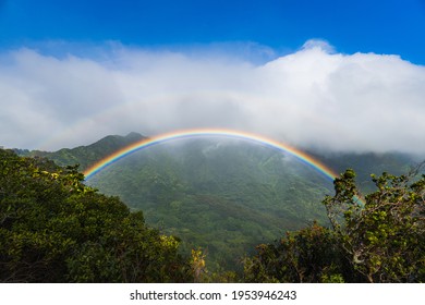 Full rainbow in the evening over a lush Hawaiian valley - Shutterstock ID 1953946243