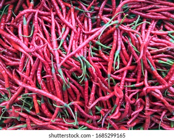 Full Of Red Chilies With Stem For Textured And Background. Spicy Red Tiny Fiery Chili Have Capsicum Oleoresin And Full Of Capsicin Extract. 