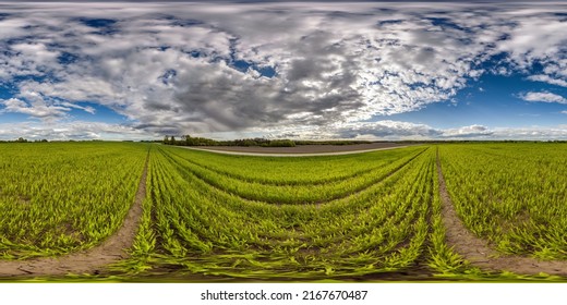 full seamless 360 hdri panorama view among farming fields with sun with clouds in overcast sky in equirectangular spherical projection, ready for VR AR virtual reality content - Shutterstock ID 2167670487
